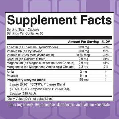 Lipase Protease Enzymes