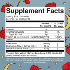 Melatonin Free Sleep Gummies